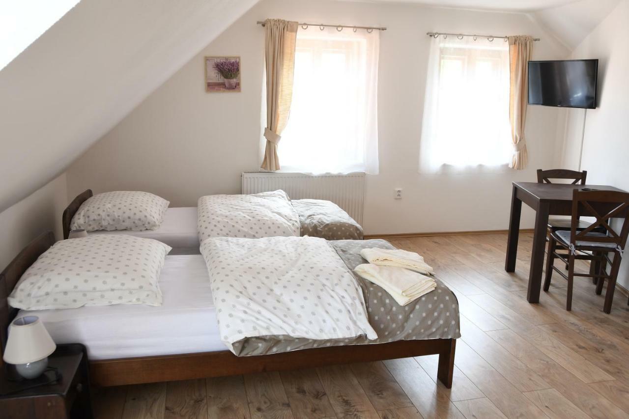 Penzion-Apartman Soucek Jindrichuv Hradec Exterior photo